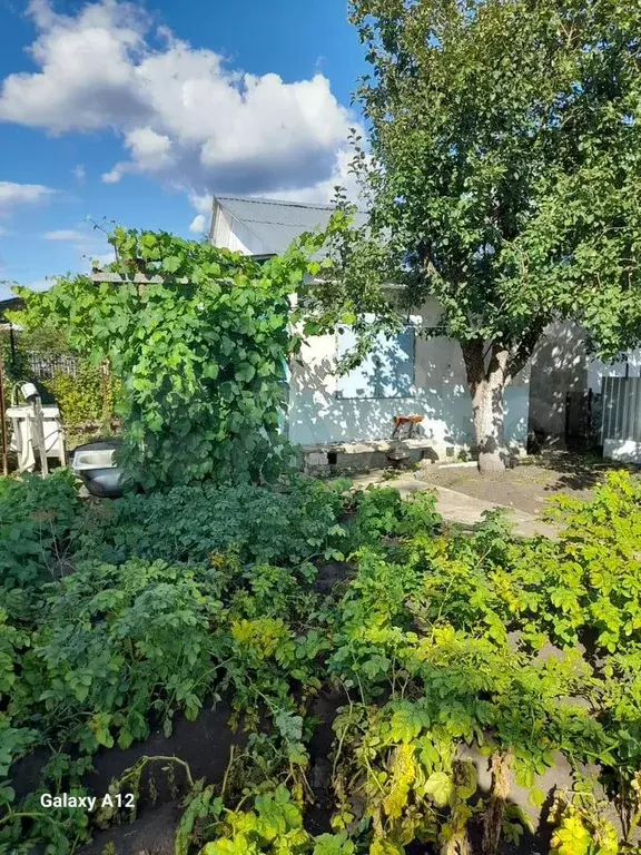 Дача 25 м на участке 4,3 сот. - Фото 0
