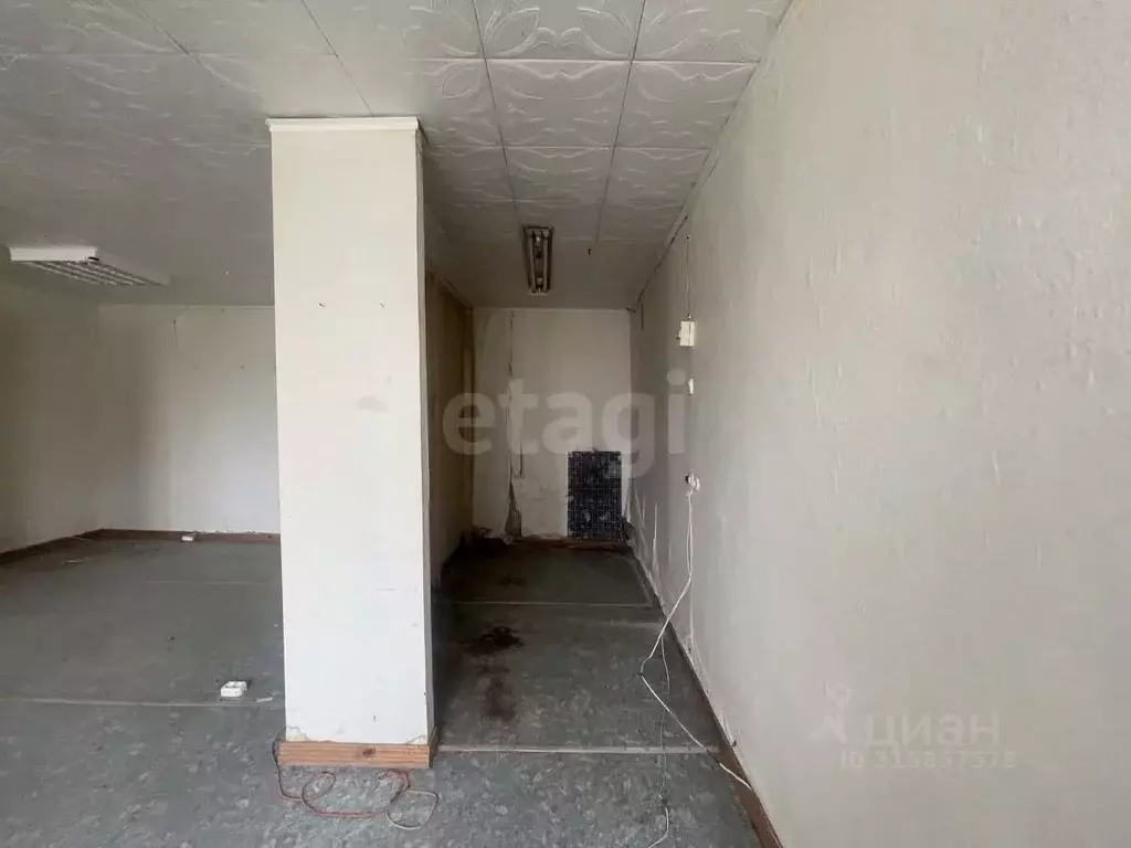 Помещение свободного назначения в Мордовия, Кадошкино рп ул. ... - Фото 2