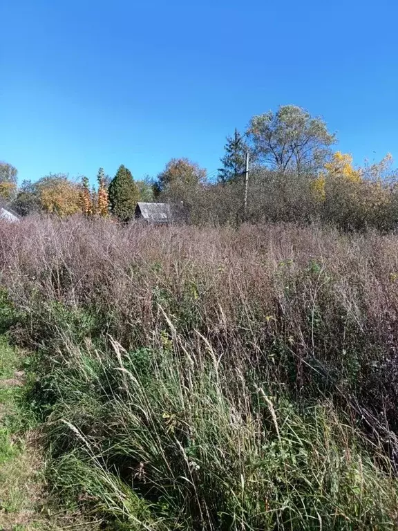 Участок в Московская область, Ступино городской округ, с. Колычево  ... - Фото 2