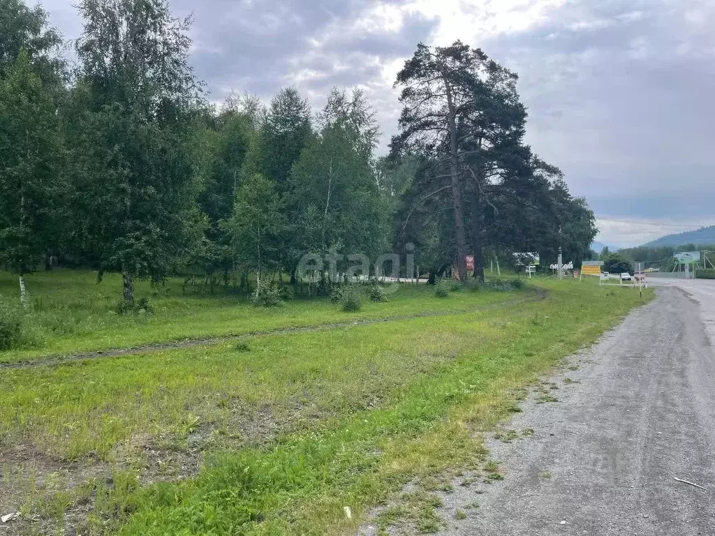 Участок в Алтай, Чемальский район, Узнезинское с/пос, с. Узнезя  (20.0 ... - Фото 1