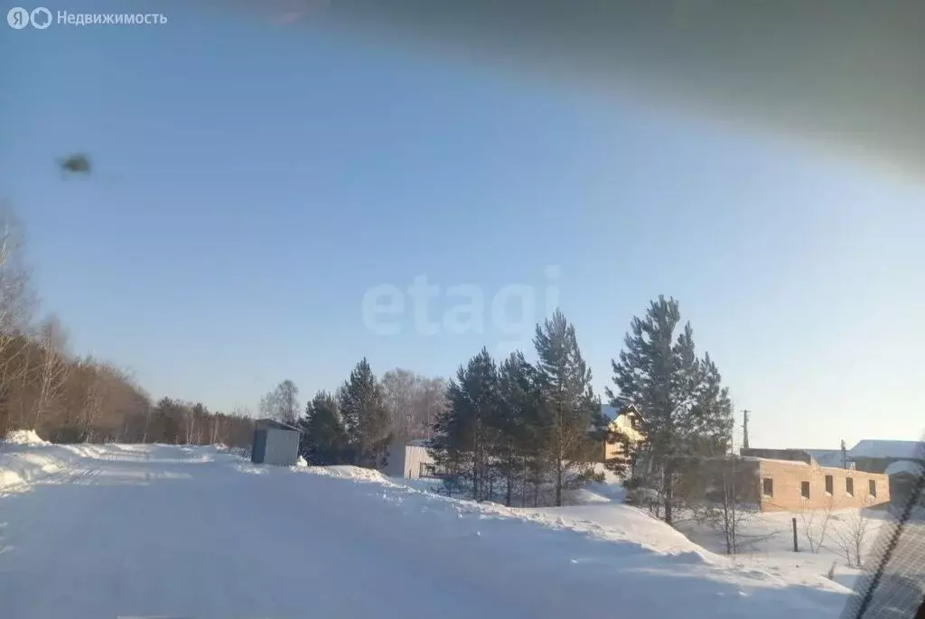 Участок в Новосибирский район, Верх-Тулинский сельсовет, садовое ... - Фото 1