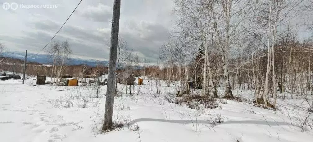 Участок в Камчатский край, Елизовский муниципальный округ, СНТ ... - Фото 2