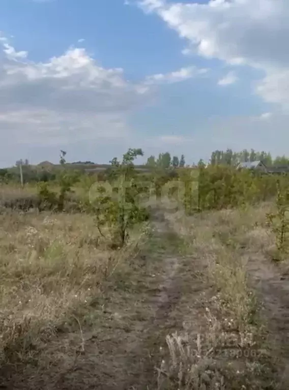 Участок в Саратовская область, Соколовый рп ул. Луговая (10.0 сот.) - Фото 2