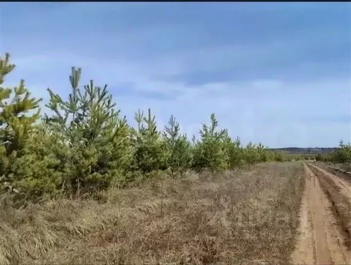 Участок в Челябинская область, Миасский городской округ, пос. ... - Фото 1