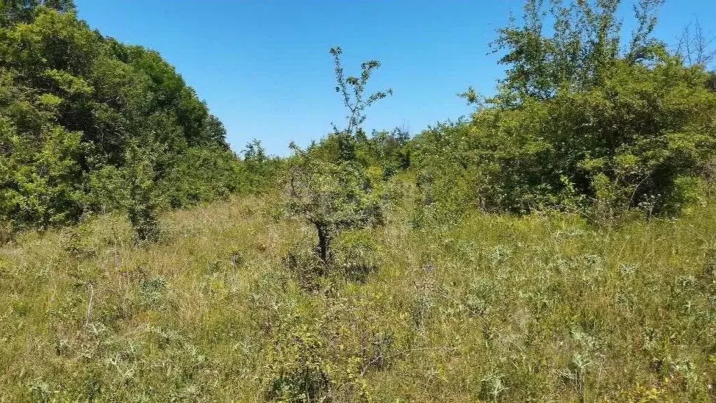 Участок в Крым, Феодосия муниципальный округ, с. Краснокаменка ул. ... - Фото 1