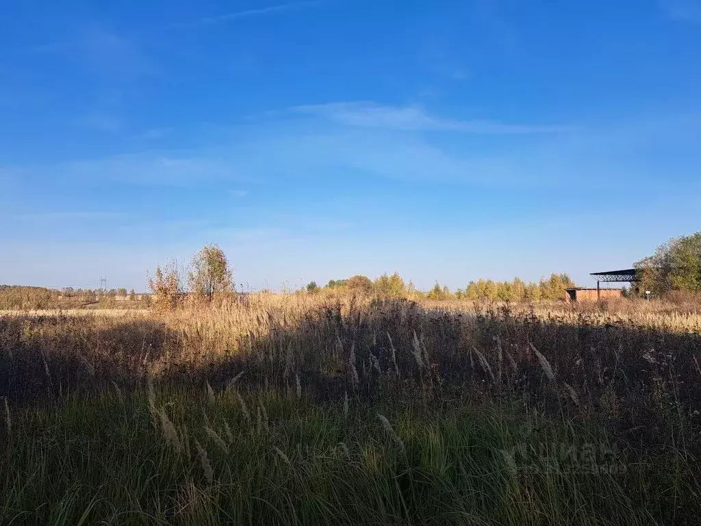 Участок в Московская область, Кашира городской округ, д. Никулино  ... - Фото 0