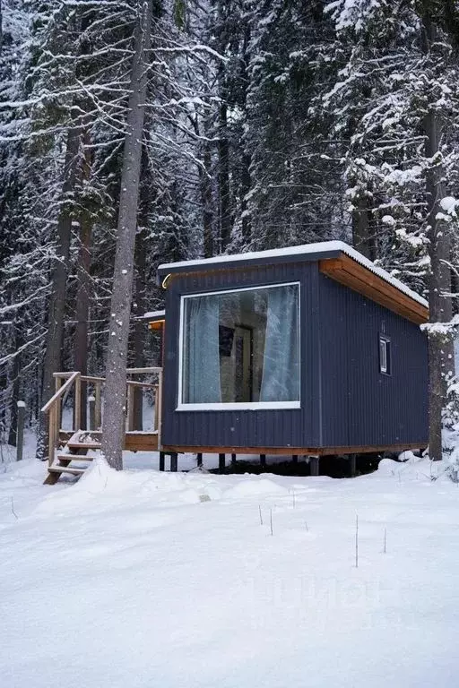 Дом в Карелия, Пряжа пгт ул. Сосновый Бор, 4 (25 м) - Фото 2