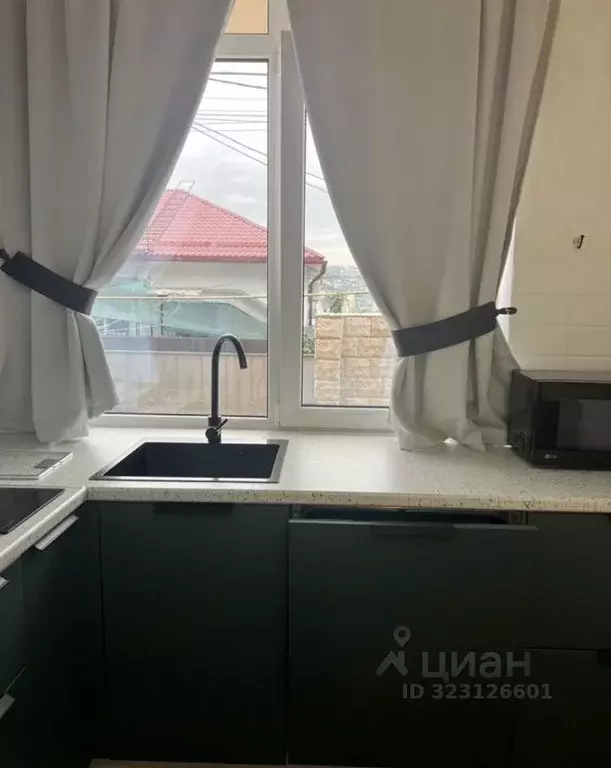 1-к кв. Краснодарский край, Сочи Новый Сочи мкр, ул. Кавказская, 21А ... - Фото 2