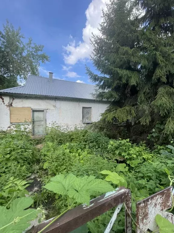 Дом в Липецкая область, Усманский район, Дрязги ж/д_ст  (65 м) - Фото 2