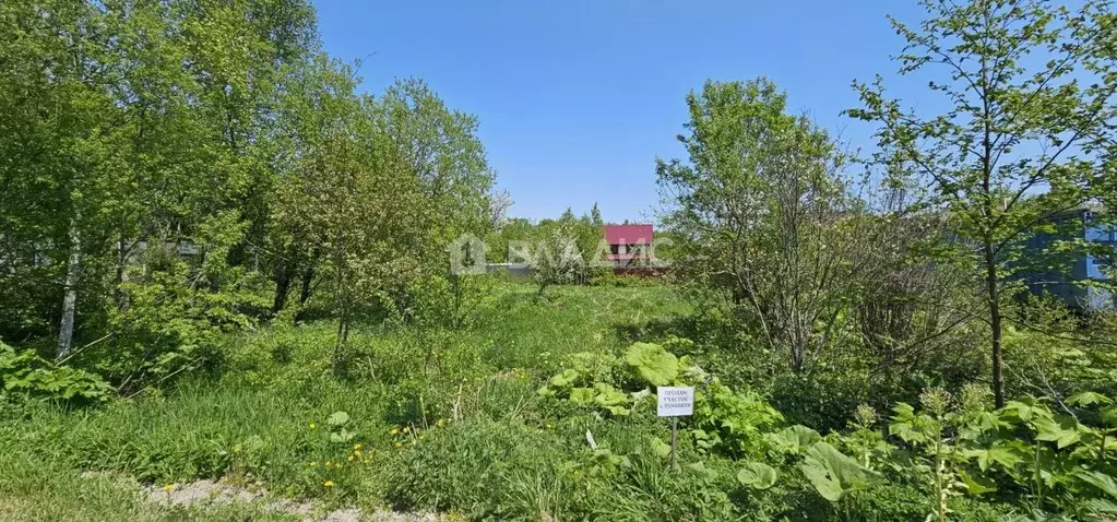 Участок в Сахалинская область, Анивский городской округ, с. Троицкое, ... - Фото 0