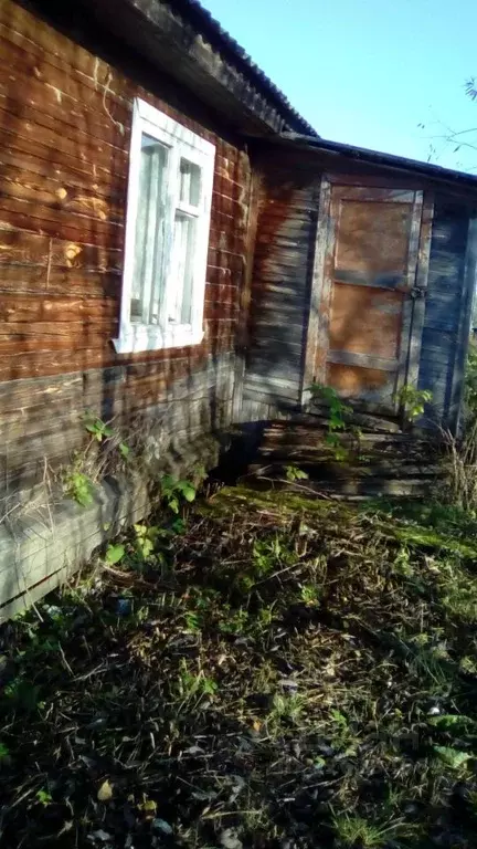 Помещение свободного назначения в Архангельская область, Устьянский ... - Фото 2