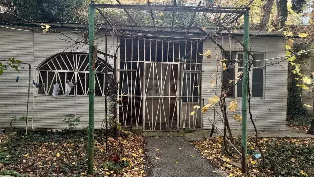 Торговая площадь в Краснодарский край, Геленджик городской округ, с. ... - Фото 2