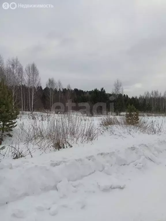 Участок в село Тюнево, Солнечная улица (10 м) - Фото 1