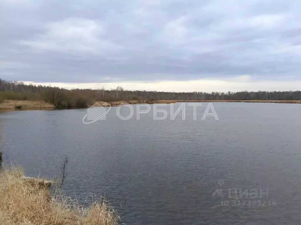 Участок в Тюменская область, Нижнетавдинский район, Ромашка СНТ ул. ... - Фото 1
