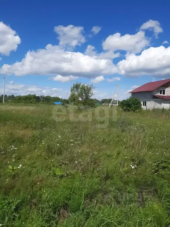 Участок в Алтайский край, Смоленский район, Верх-Обский сельсовет, с. ... - Фото 2