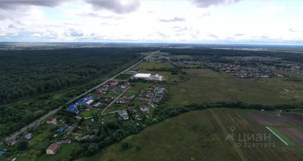 Участок в Ленинградская область, Ломоносовский район, Горбунковское ... - Фото 0