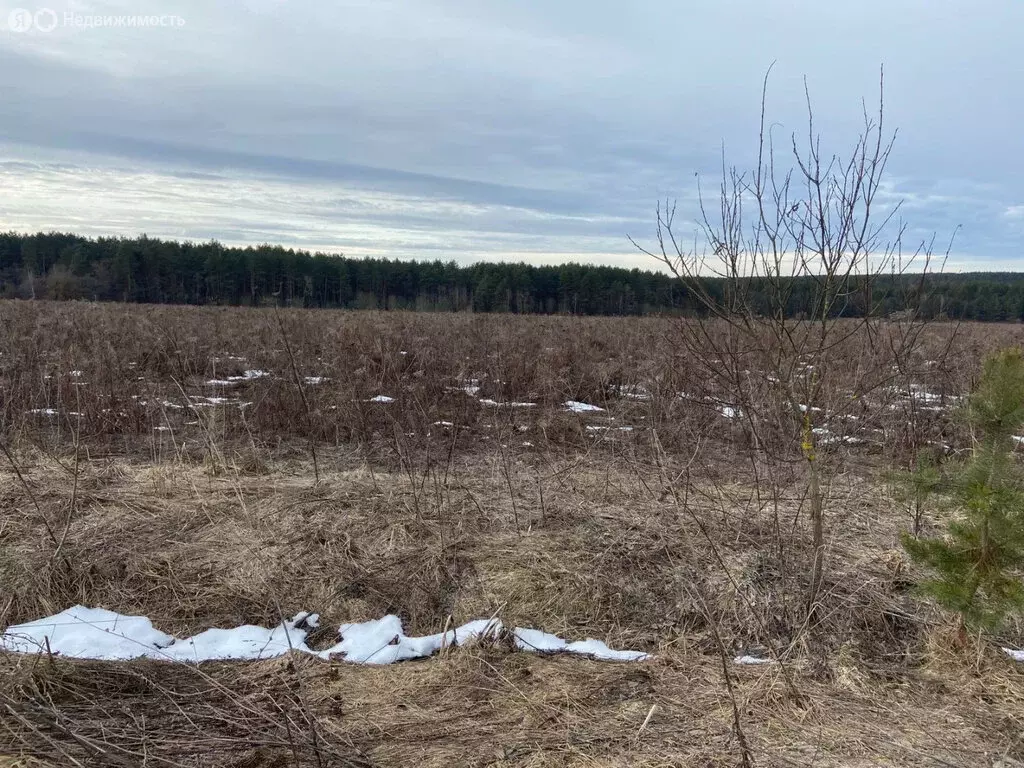 Дом в сельское поселение Совхоз имени Ленина, деревня Захарово, 40 ... - Фото 0