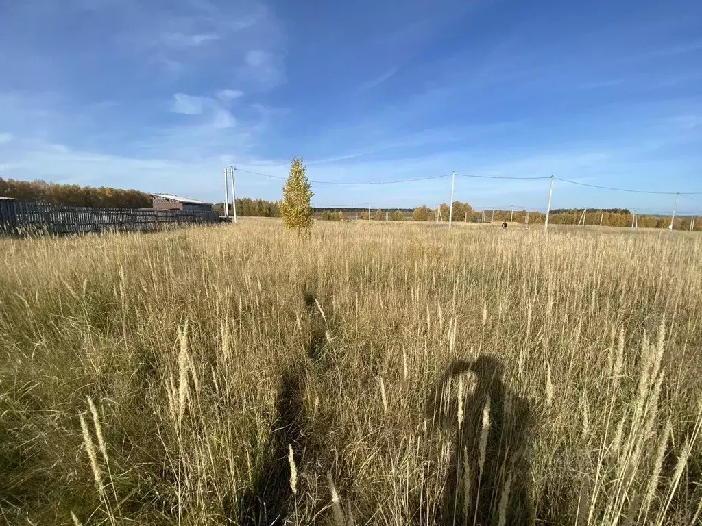 Участок в Татарстан, Высокогорский район, Чернышевское с/пос, с. ... - Фото 2