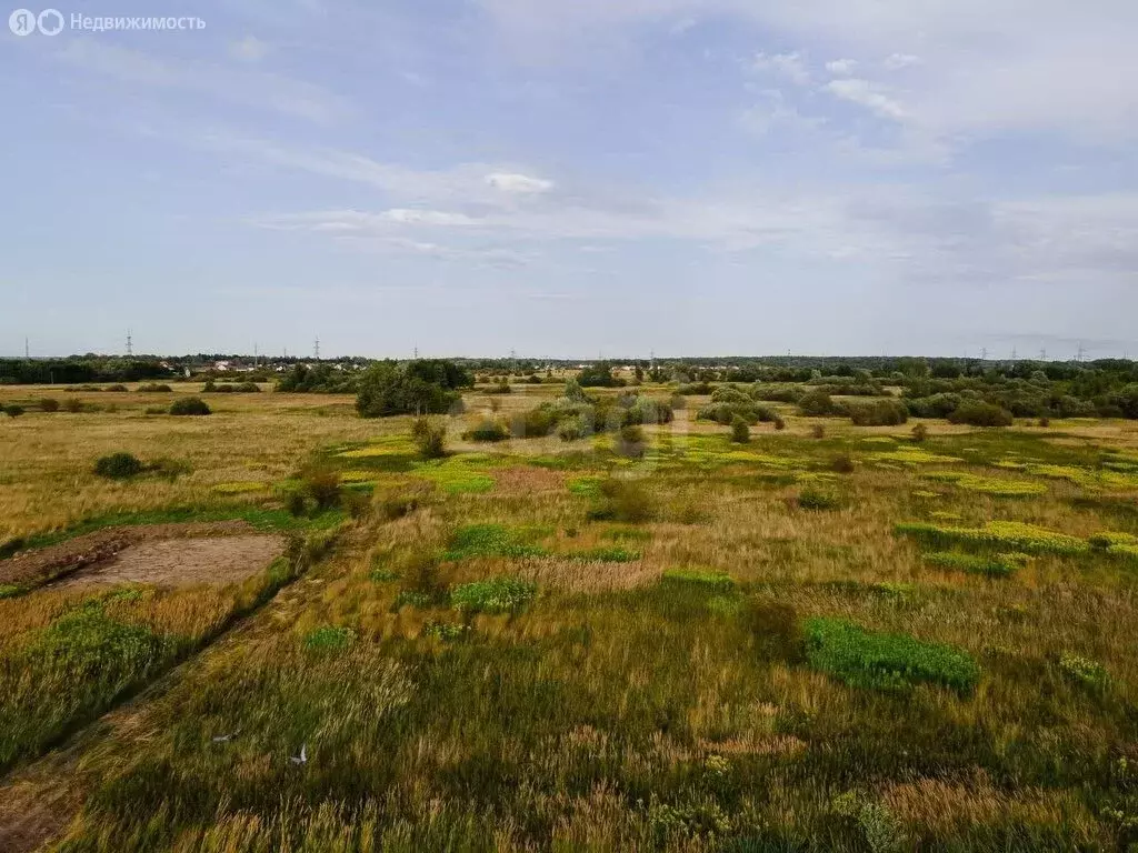 Участок в Калининградская область, Гурьевский муниципальный округ, ... - Фото 2
