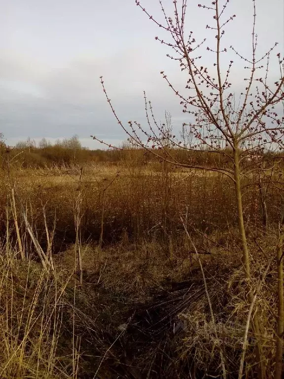 Участок в Смоленская область, Смоленск пос. Миловидово,  (29.9 сот.) - Фото 1