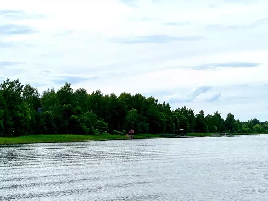 Участок в Тверская область, Конаковский муниципальный округ, д. Бабня ... - Фото 2