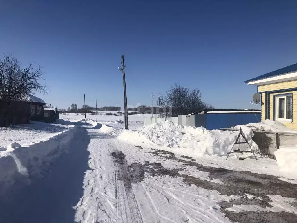 Дом в Курганская область, Шадринский муниципальный округ, с. Демино ... - Фото 1