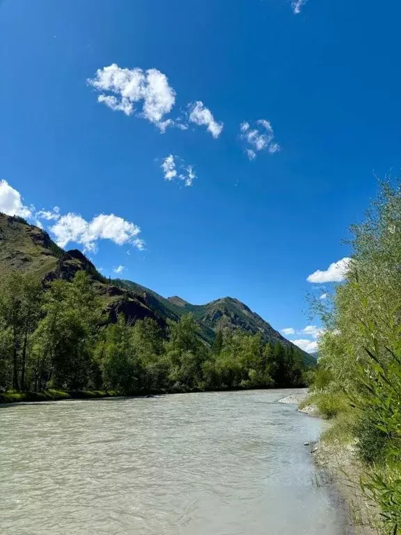 Дом в Алтай, Кош-Агачский район, с. Чаган-Узун  (12 м) - Фото 1