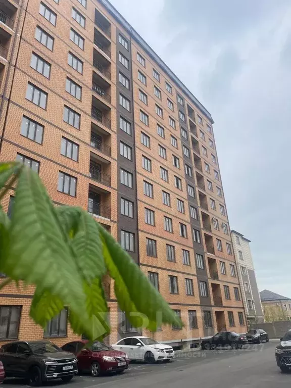 3-к кв. Дагестан, Махачкала ул. Лизы Чайкиной, 69 (98.0 м) - Фото 2