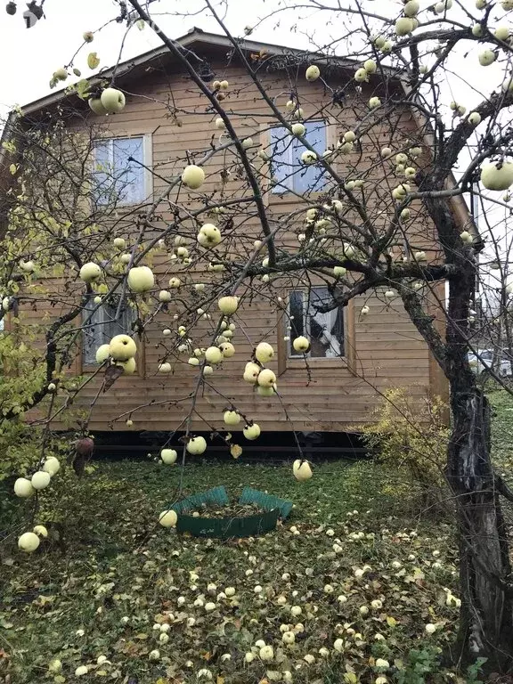 Дом в Гатчинский район, Новосветское сельское поселение, ст Кировец-2, . - Фото 0