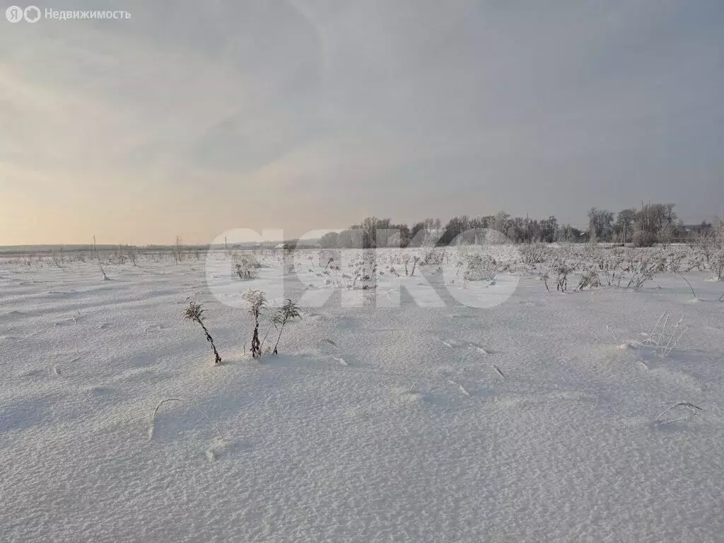Участок в Московская область, городской округ Коломна, деревня ... - Фото 1