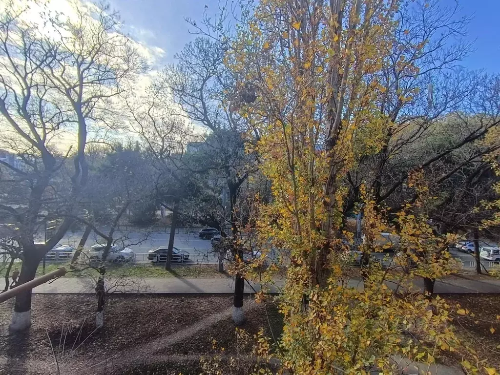 1-к кв. Краснодарский край, Новороссийск ул. Советов, 2/6 (33.0 м) - Фото 2