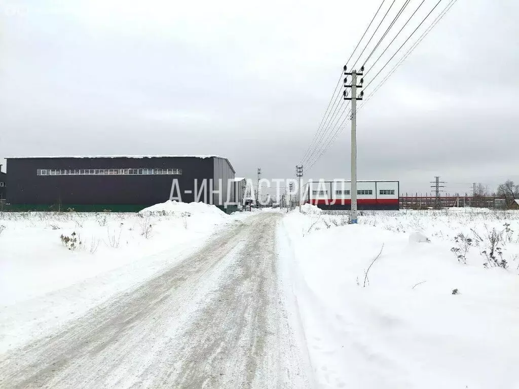 Участок в деревня Гальчино, бульвар 60-летия СССР, 133 (50 м) - Фото 1