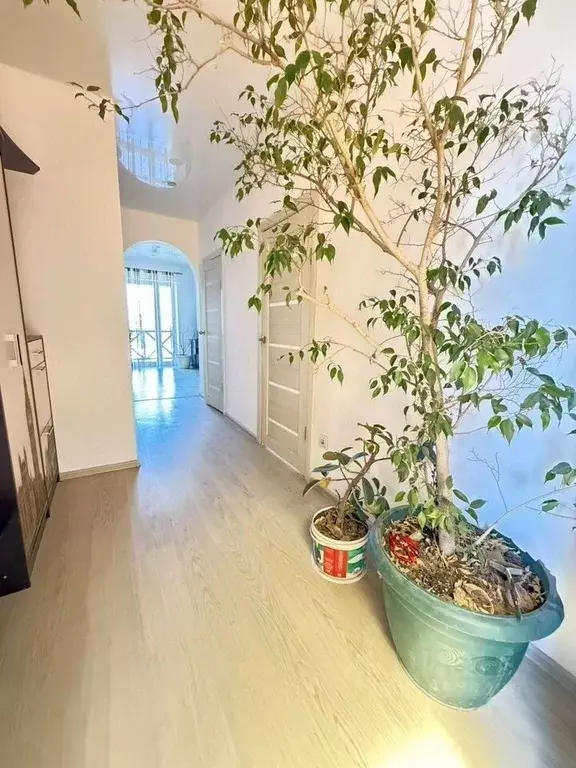 Дом в Краснодарский край, Темрюкский район, Тамань ст-ца ул. ... - Фото 2