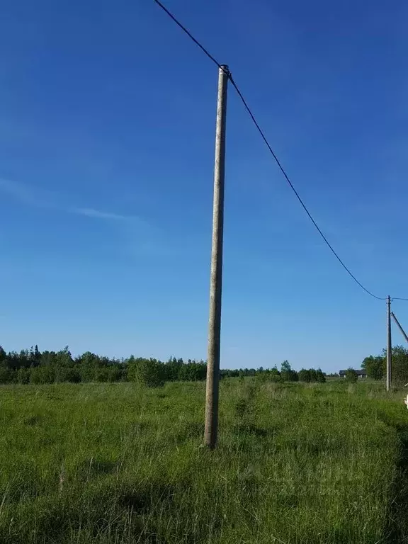 Участок в Ленинградская область, Волховский район, Кисельнинское ... - Фото 1