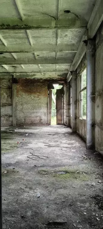 Сдам помещение свободного назначения, 500 м - Фото 1