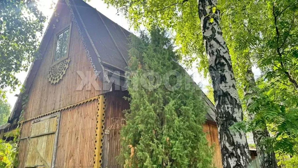 Дом в Новосибирская область, Новосибирск  (30 м) - Фото 1