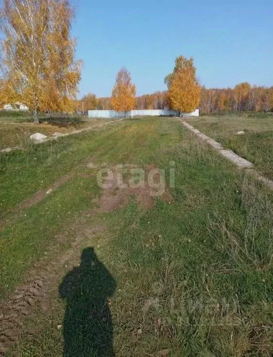 Участок в Челябинская область, Сосновский район, Кременкульское с/пос, ... - Фото 0