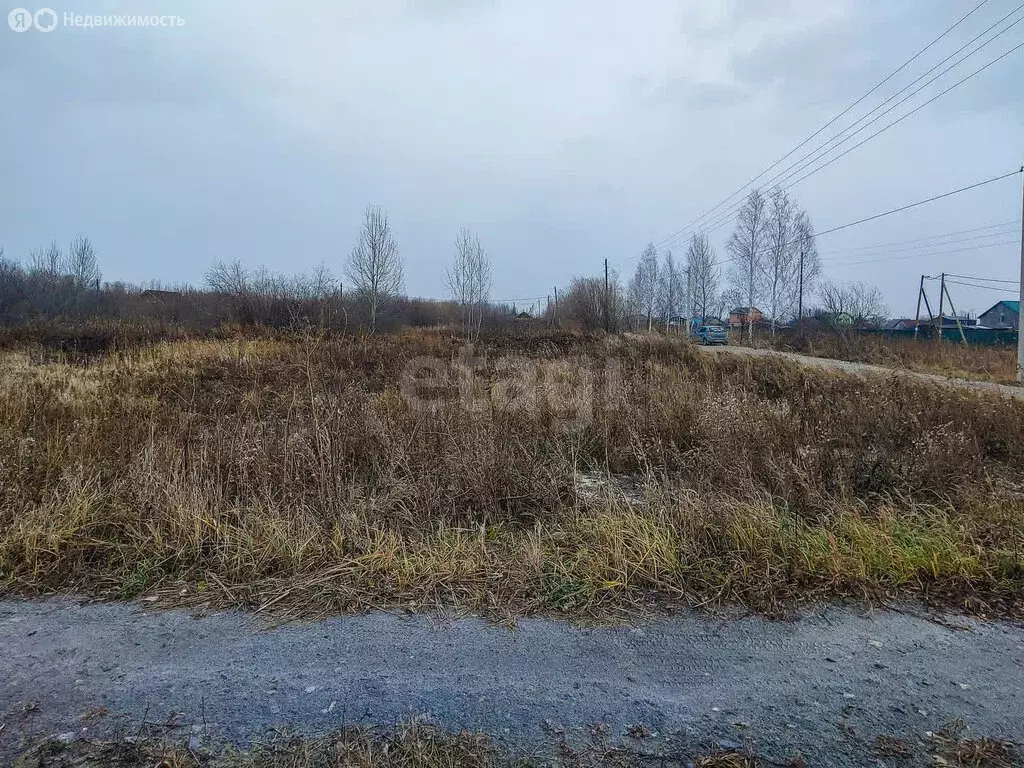 Участок в Тюмень, садовое товарищество Липовый Остров, 10-я Западная ... - Фото 1