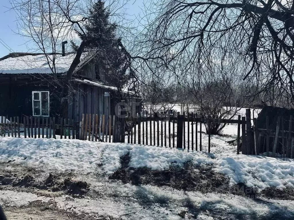 Участок в Амурская область, Благовещенский район, с. Егорьевка  (29.53 ... - Фото 0