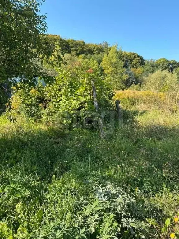 Участок в Белгородская область, Белгородский район, Беломестненское ... - Фото 0