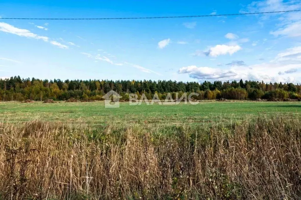 Участок в Ленинградская область, Отрадное Кировский район, пос. ... - Фото 1