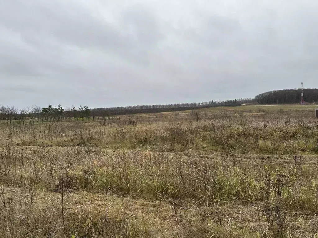 Участок в Московская область, Серебряные Пруды муниципальный округ, ... - Фото 1