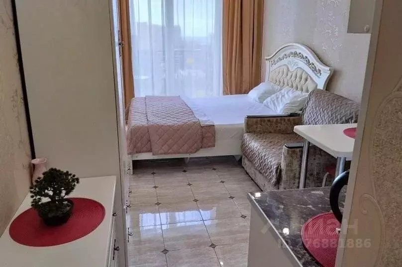 1-к кв. Краснодарский край, Сочи ул. Ленина, 219/6Б (20.0 м) - Фото 1