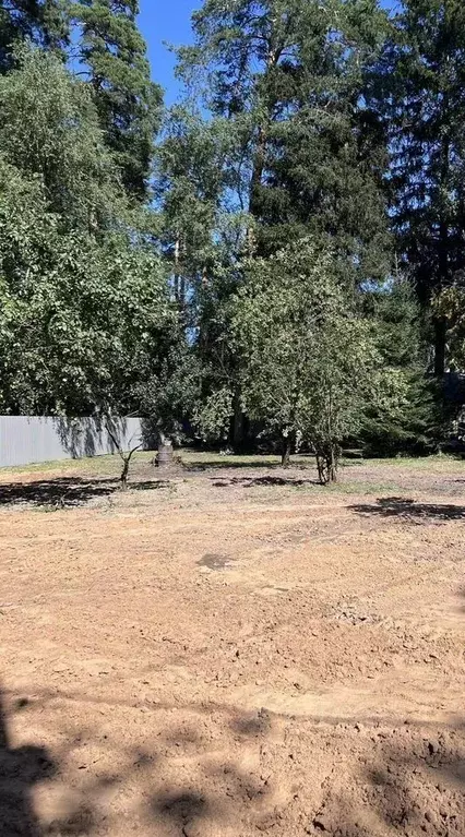 Участок в Московская область, Пушкино Заветы Ильича мкр, ул. Радищева, ... - Фото 2