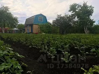 Купить Дачу В Рыкани Новоусманского