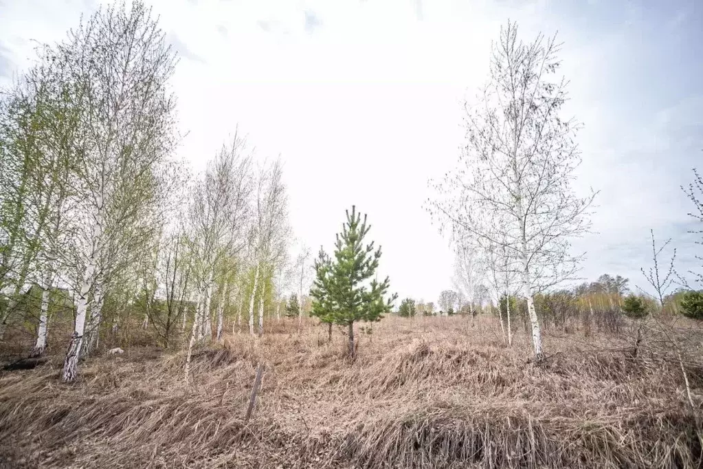 Участок в Новосибирская область, Бердск ул. Славная, 26 (6.0 сот.) - Фото 1