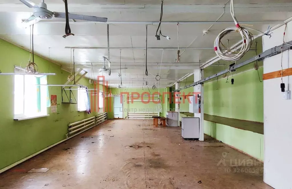 Производственное помещение в Пензенская область, Пенза ул. Гагарина, ... - Фото 1