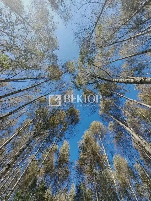 Участок в Ивановская область, Ивановский район, Беляницкое с/пос, д. ... - Фото 2