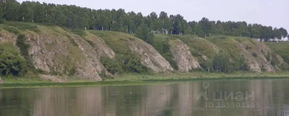 Участок в Кемеровская область, Юргинский район, пос. Речной  (12.0 ... - Фото 1