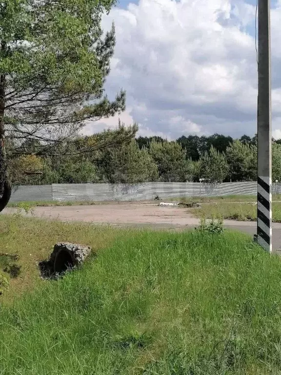 Участок в Брянская область, Брянский район, Журиничское с/пос, с. ... - Фото 2